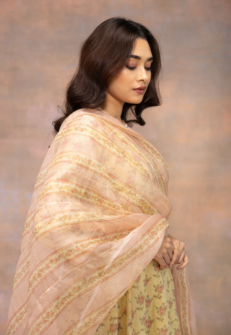 Rosette Peach Sanganeri Kota Doria Silk Dupatta