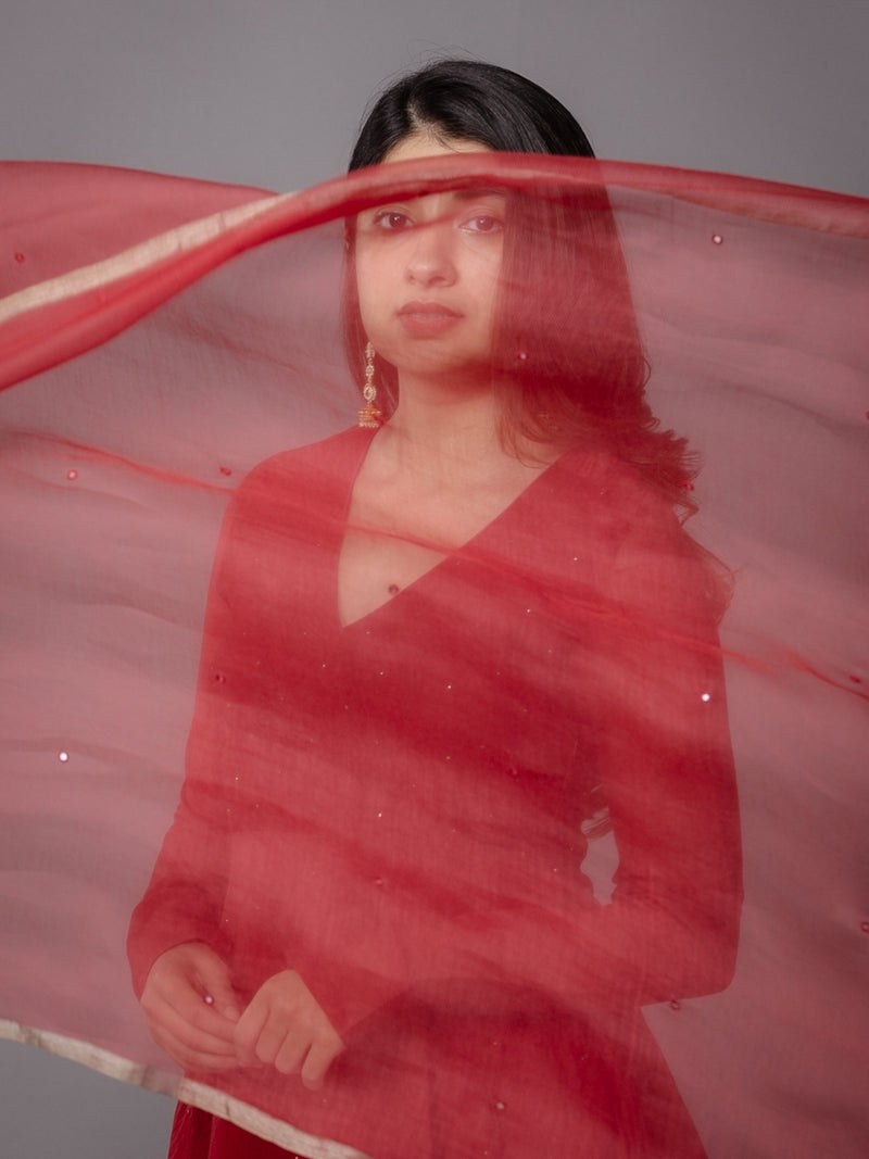 Scarlet Red Solid Zari Silk Net Dupatta with Hand Embroidery