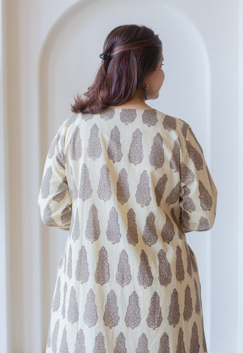 Priya Beige Ajrakh Cotton Asymmetrical Kurta