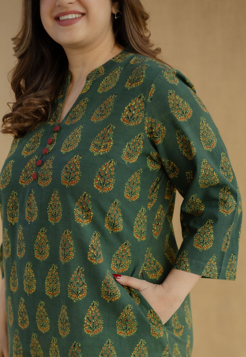 Afira Green Ajrakh Cotton Straight Kurta