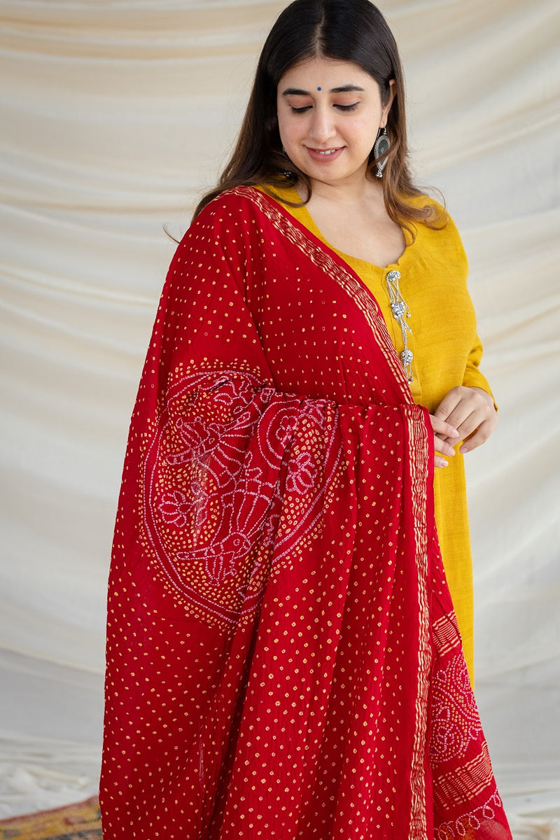 Laal Bandhej Venkatgiri Handloom Cotton Bandhej Dupatta