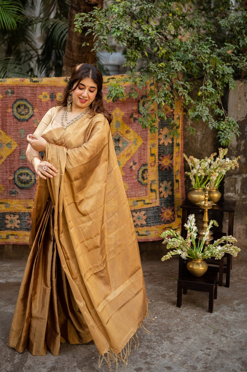 Golden Handloom Full Tissue Chanderi Saree